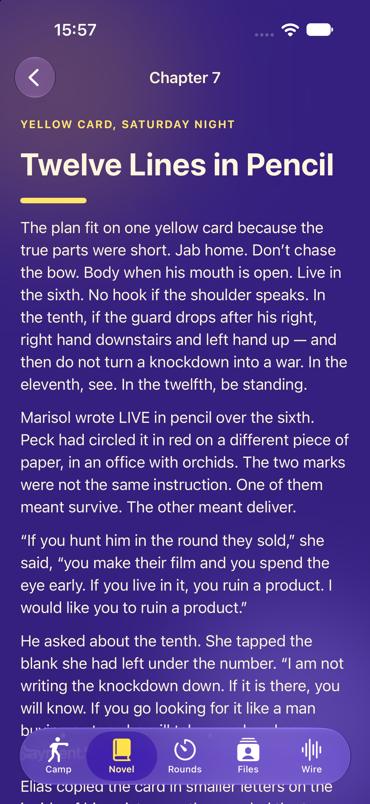 Chapter seven, Twelve Lines in Pencil, from the novel that does not change.
